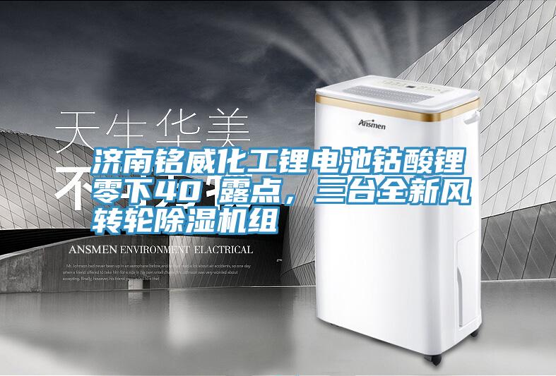 濟南銘威化工鋰電池鈷酸鋰零下40℃露點，三臺全新風轉輪除濕機組