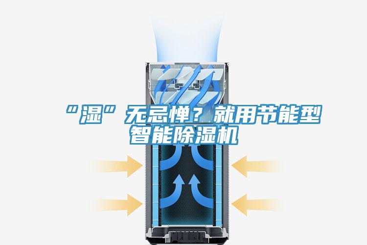 “濕”無忌憚？就用節能型智能除濕機