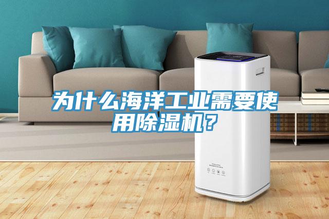 為什么海洋工業需要使用除濕機？