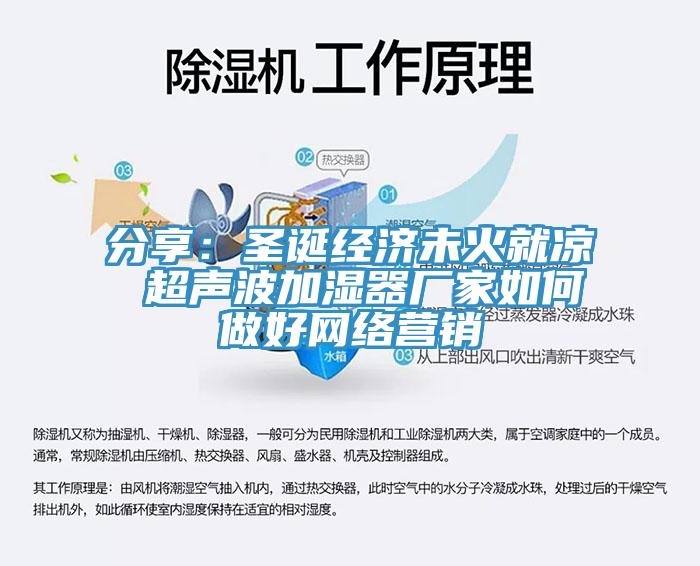 分享：圣誕經(jīng)濟未火就涼 超聲波加濕器廠家如何做好網(wǎng)絡營銷