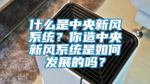 什么是中央新風系統？你造中央新風系統是如何發展的嗎？