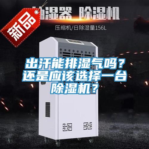 出汗能排濕氣嗎？還是應該選擇一臺除濕機？