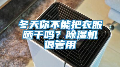 冬天你不能把衣服曬干嗎？除濕機很管用