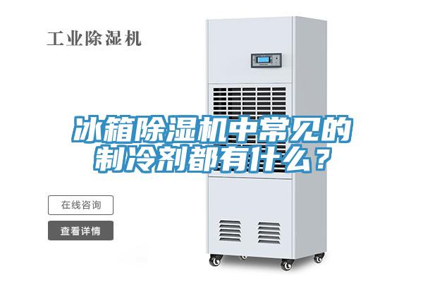 冰箱除濕機中常見的制冷劑都有什么？