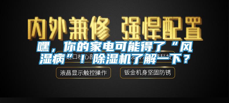 嘿，你的家電可能得了“風濕病”！除濕機了解一下？