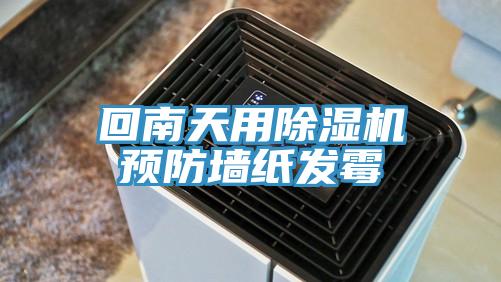 回南天用除濕機預防墻紙發霉