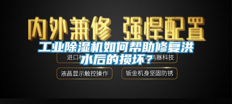 工業除濕機如何幫助修復洪水后的損壞？