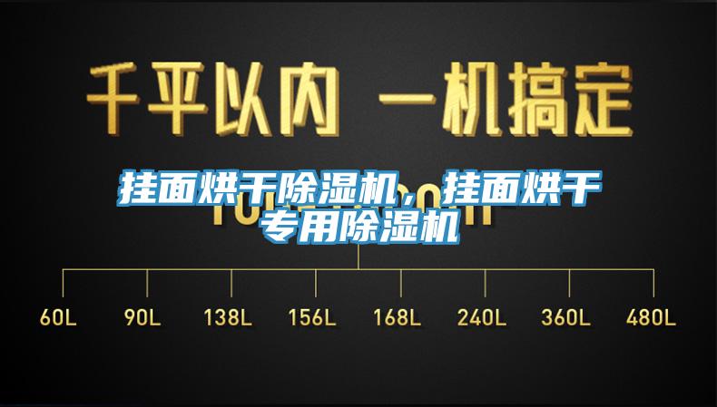 掛面烘干除濕機，掛面烘干專用除濕機