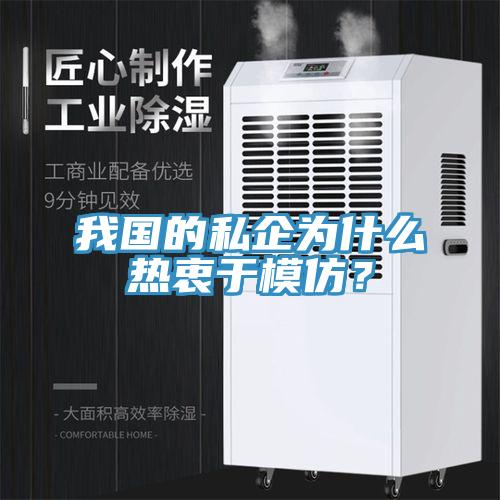 我國的私企為什么熱衷于模仿？