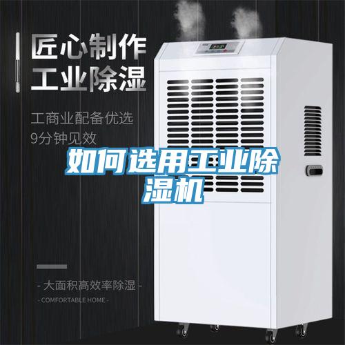 如何選用工業除濕機