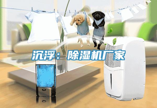 沉浮：除濕機廠家