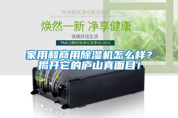 家用和商用除濕機怎么樣？揭開它的廬山真面目！