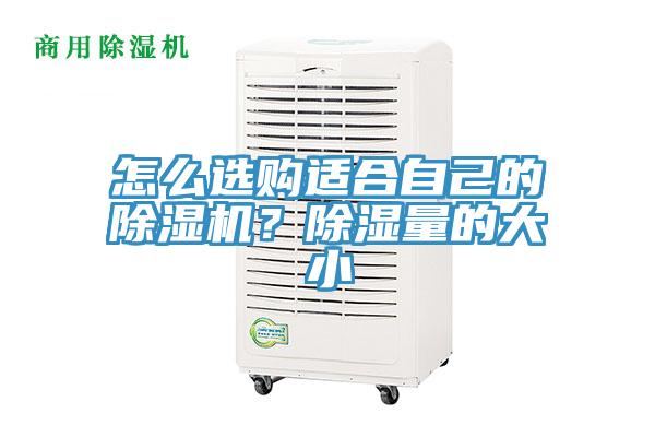 怎么選購適合自己的除濕機？除濕量的大小