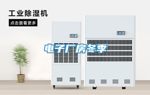 電子廠房冬季