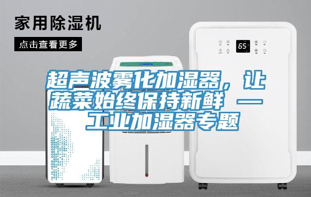 超聲波霧化加濕器，讓蔬菜始終保持新鮮 — 工業加濕器專題