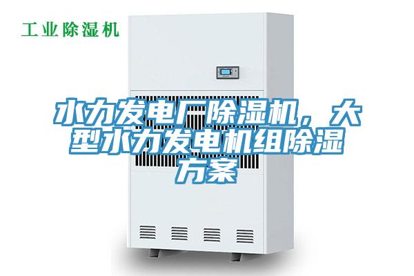 水力發電廠除濕機，大型水力發電機組除濕方案