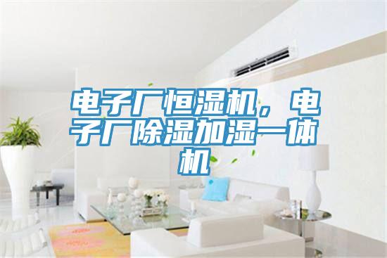 電子廠恒濕機，電子廠除濕加濕一體機