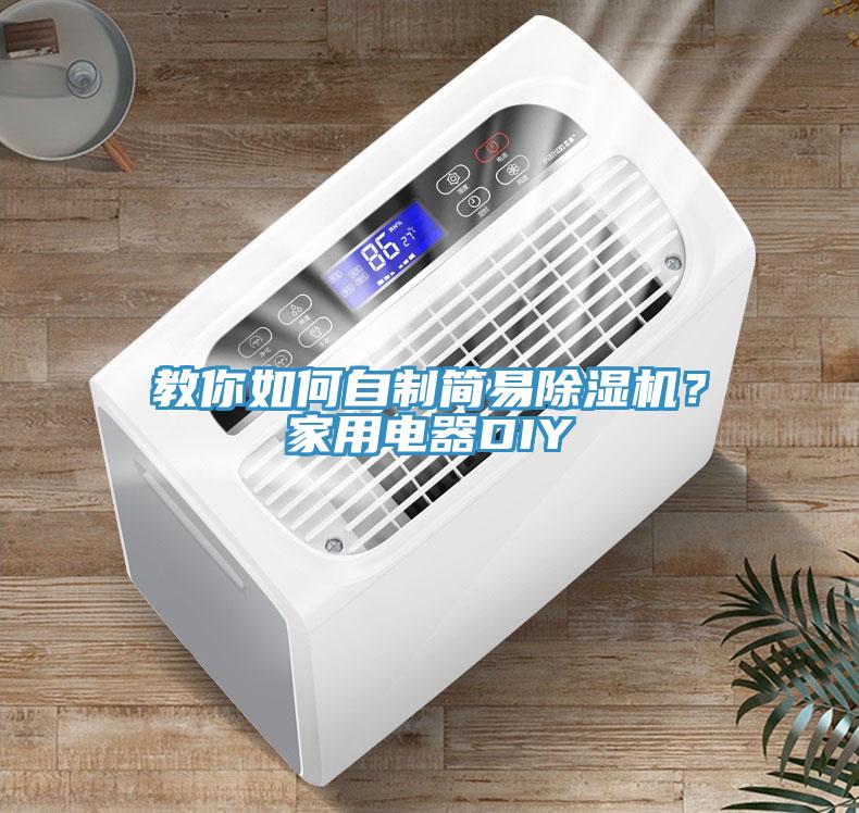 教你如何自制簡易除濕機？家用電器DIY