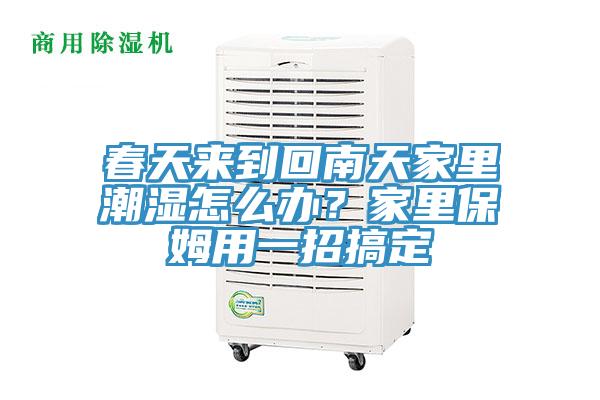 春天來到回南天家里潮濕怎么辦？家里保姆用一招搞定