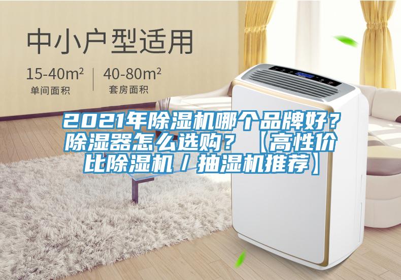 2021年除濕機哪個品牌好？除濕器怎么選購？【高性價比除濕機／抽濕機推薦】