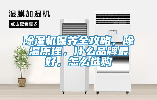 除濕機保養全攻略，除濕原理，什么品牌最好，怎么選購