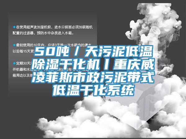 50噸／天污泥低溫除濕干化機丨重慶威凌菲斯市政污泥帶式低溫干化系統