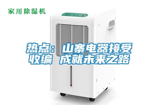 熱點：山寨電器接受收編 成就未來之路