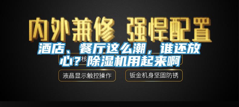 酒店、餐廳這么潮，誰還放心？除濕機用起來啊