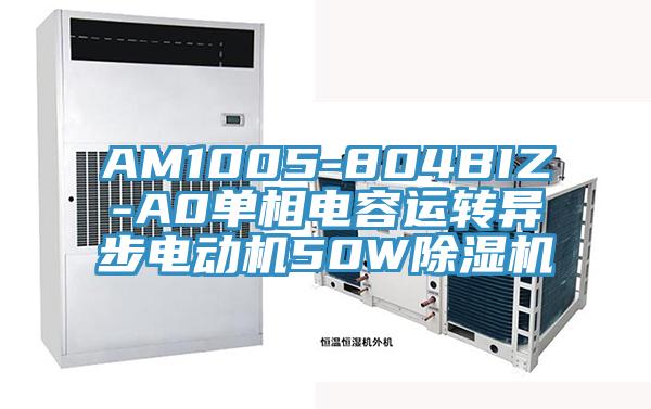 AM1005-804BIZ-A0單相電容運轉異步電動機50W除濕機