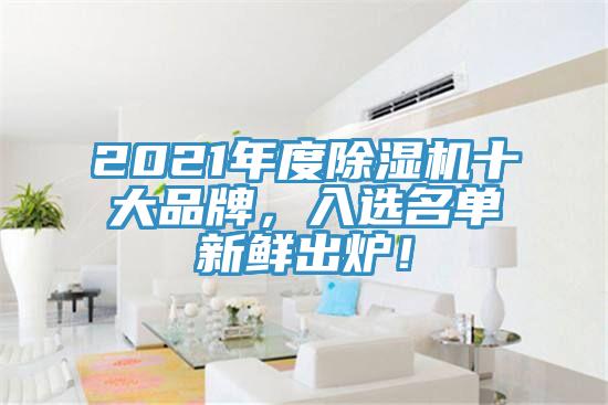 2021年度除濕機十大品牌，入選名單新鮮出爐！