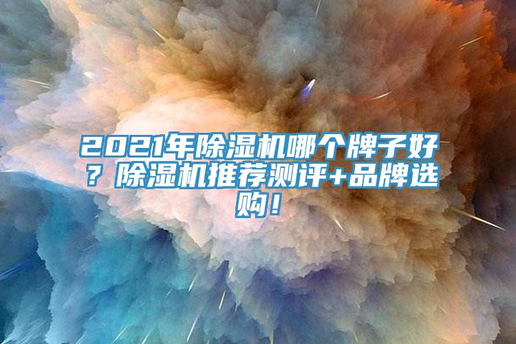 2021年除濕機哪個牌子好？除濕機推薦測評+品牌選購！