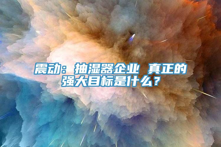 震動：抽濕器企業 真正的強大目標是什么？