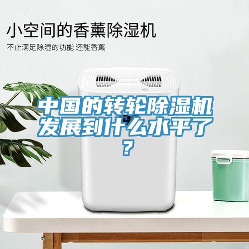 中國的轉輪除濕機發展到什么水平了？