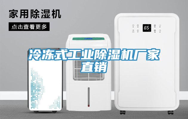 冷凍式工業除濕機廠家直銷