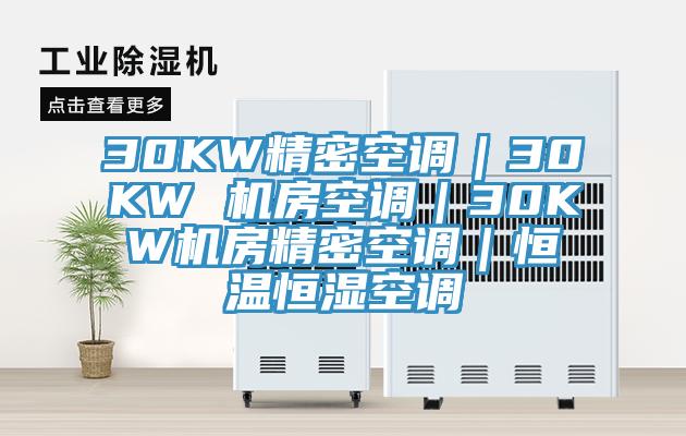 30KW精密空調｜30KW 機房空調｜30KW機房精密空調｜恒溫恒濕空調