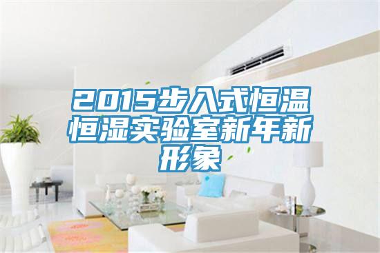 2015步入式恒溫恒濕實驗室新年新形象