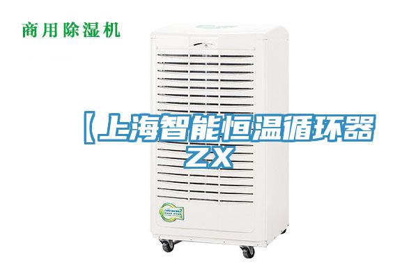 【上海智能恒溫循環器ZX