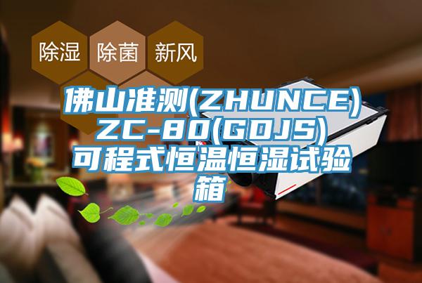 佛山準測(ZHUNCE) ZC-80(GDJS) 可程式恒溫恒濕試驗箱