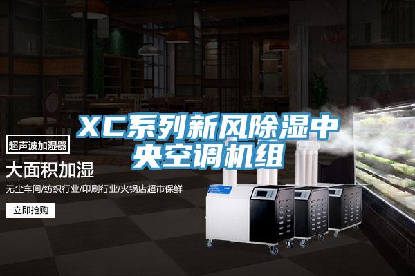 XC系列新風除濕中央空調機組