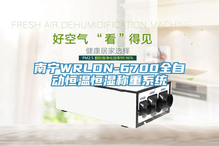 南寧WRLDN-6700全自動恒溫恒濕稱重系統