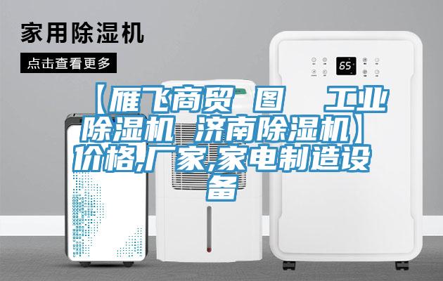 【雁飛商貿(mào) 圖  工業(yè)除濕機 濟南除濕機】價格,廠家,家電制造設(shè)備