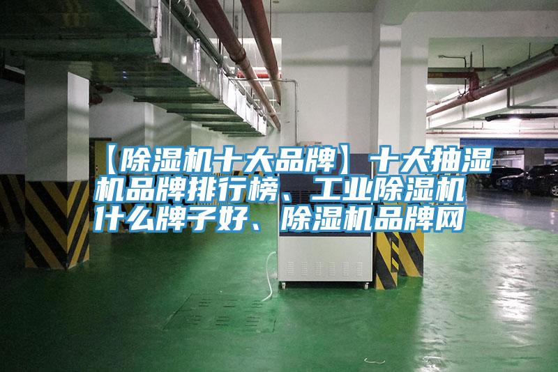 【除濕機十大品牌】十大抽濕機品牌排行榜、工業除濕機什么牌子好、除濕機品牌網