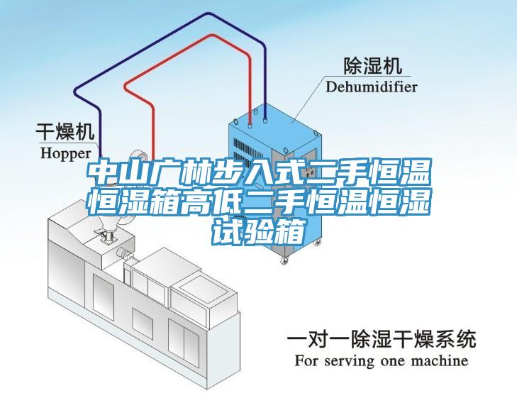 中山廣林步入式二手恒溫恒濕箱高低二手恒溫恒濕試驗(yàn)箱