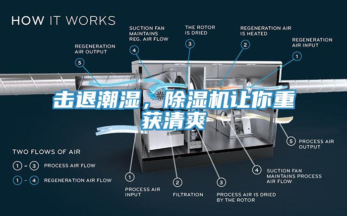 擊退潮濕，除濕機讓你重獲清爽