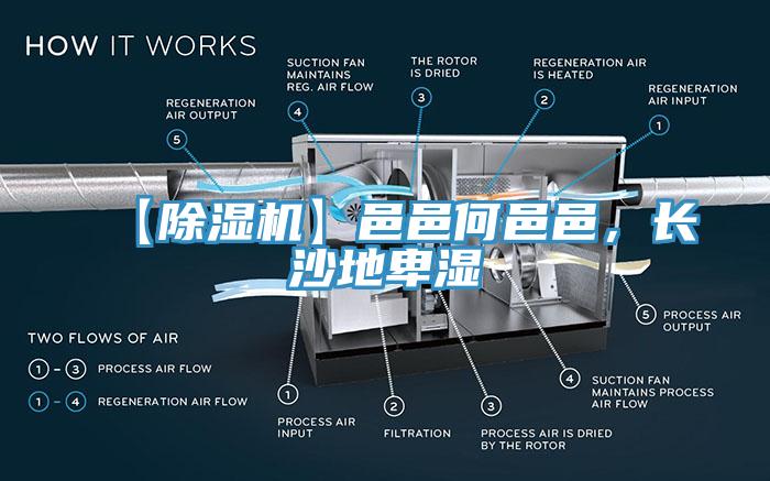 【除濕機】邑邑何邑邑，長沙地卑濕