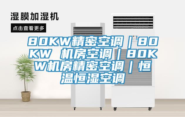 80KW精密空調｜80KW 機房空調｜80KW機房精密空調｜恒溫恒濕空調