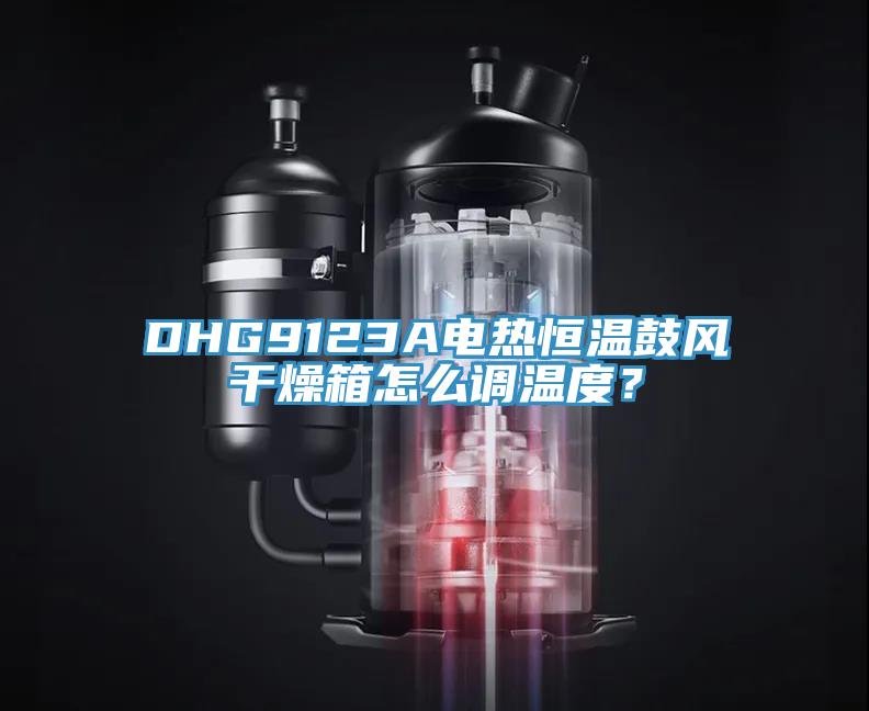 DHG9123A電熱恒溫鼓風干燥箱怎么調溫度？