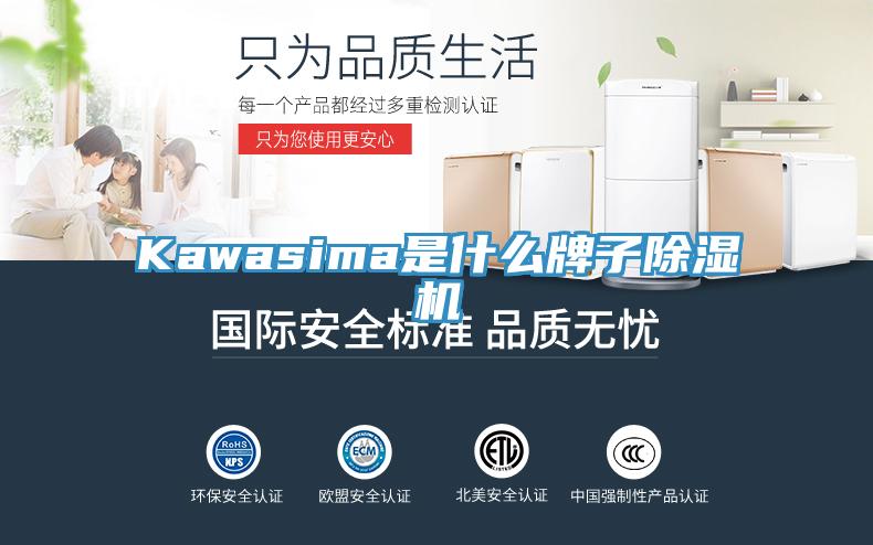 Kawasima是什么牌子除濕機