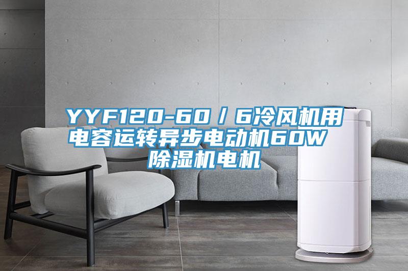 YYF120-60／6冷風(fēng)機(jī)用電容運(yùn)轉(zhuǎn)異步電動(dòng)機(jī)60W 除濕機(jī)電機(jī)