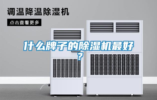 什么牌子的除濕機最好？